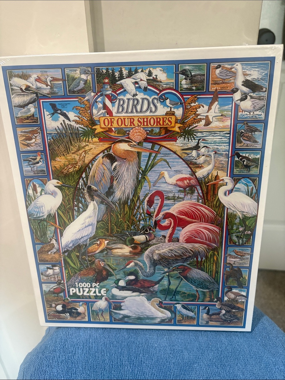 Birds of Our Shores 1000-Piece Jigsaw Puzzle - Colorful Coastal Birds